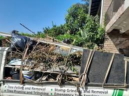 Best Demolition Debris Removal  in Wailea, HI